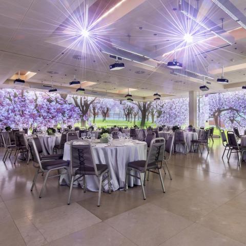 Immersive Room